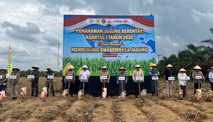 Mendukung Swasembada Dicanangkan Pemerintah, Polda Kalsel Penanaman Jagung pada Lahan 10 Ha di Tala
