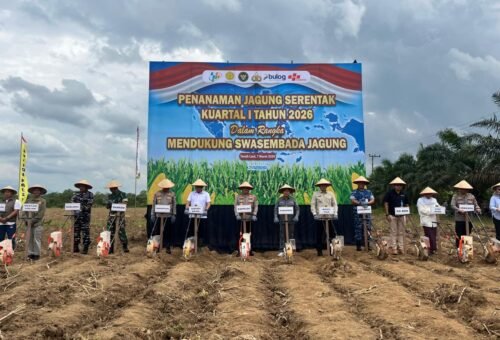 WhatsApp Image 2026 03 07 at 21.17.31 1 e1772891004906