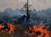 BPBD Kalsel Keluarkan Surat Edaran