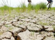 Ingatkan Pemprov Antisipasi Kemarau Sejak Dini