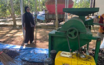 1 2 klm 6 cm Alat Pencacah Sampah1