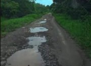 Pemprov Kalsel Diminta Perbaiki Jalan Banjang–Pulau Nyiur–Batumandi