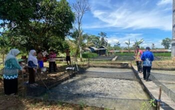 Hal 4 4 KLm Martapura Budidaya lele