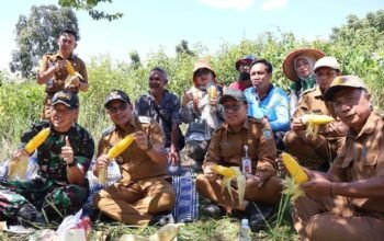 Hal 4 Kotabatu 3 klm