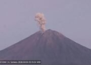 Semeru Erupsi Sembilan Kali, Tinggi Letusan hingga 1.000 Meter