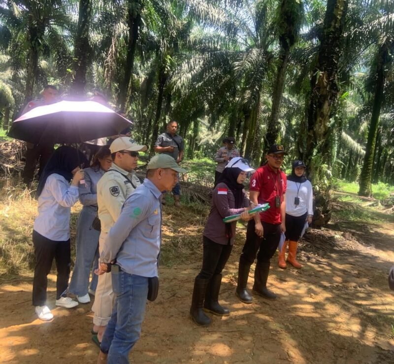 PN Pelaihari Gelar Sidang Pemeriksaan Setempat Lahan Perkebunan, Tergugat Kembali Mangkir 1 IMG 20260409 WA0055 e1775738194307