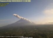 Gunung Semeru Erupsi Disertai Awan Panas Guguran Sejauh 4 Km