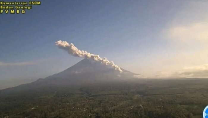 Gunung Semeru Erupsi Disertai Awan Panas Guguran Sejauh 4 Km