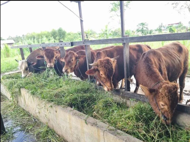 IMG 20260422 WA0031 e1776849374277