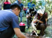 PLN Indonesia Power UBP Barito Gandeng Komunitas dan Stakeholder Tanam Pohon di Hari Bumi 2026