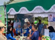 Ketahanan Pangan Kalsel Tetap Stabil Ditengah Tekanan Inflasi, Petani Justru Diuntungkan