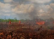 “Ancaman Karhutla Jangan Ganggu Bandara dan Ekonomi”