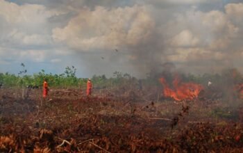 “Ancaman Karhutla Jangan Ganggu Bandara dan Ekonomi”