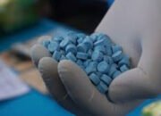 Disita 6.726 Butir Ekstasi Pasokan Jaringan Fredy Pratama