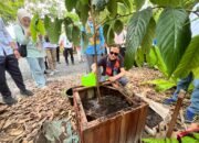 Tanam Ulin di Arboretum Ayu Tirta, Wagub Kalsel Perkuat Komitmen Pelestarian Alam