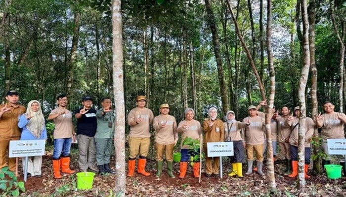 Rehabilitasi Hutan Seluas 100 Ribu Hektare 