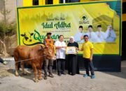Golkar Kalsel Salurkan 11 Ekor Sapi Kurban