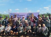 Banjar Dorong Ketersediaan Benih Unggul Jagung Bermutu