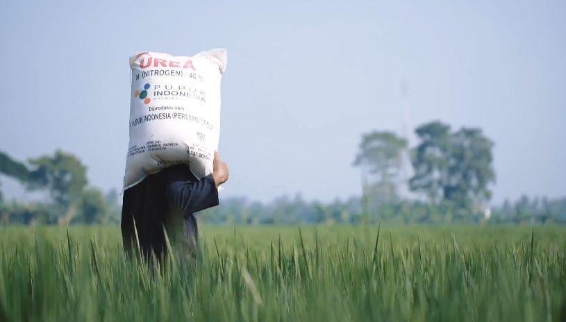 Lindungi Petani, Pemerintah Perketat Impor dan Turunkan Harga Pupuk 1 Alokasi pupuk bersubsidi belimpah 1