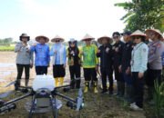 Bupati HSS Tanam Ke Dua Dengan Drone Pertanian