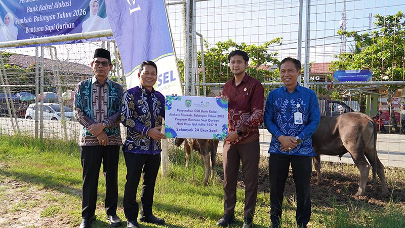 Jelang Iduladha 1447 H Pemkab Balangan Salurkan 24 Sapi Kurban 1 Hal 2 Bal 3 klm 9