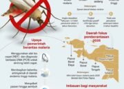 412 Daerah di Indonesia Bebas Malaria