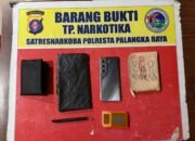 Polresta Palangka Raya Tangkap Pengedar Narkoba dan Sita 481 Paket Sabu