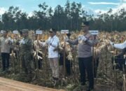 Gubernur Apresiasi Polda Panen Raya Jagung di Tumbang Talaken