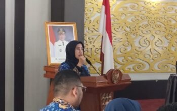 IMG 20260519 WA0051