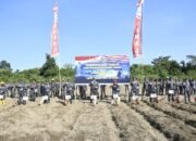 TNI AL Gelar Penanaman Bibit Kedelai di Kompi Produksi Lanal Banjarmasin Melalui Operasi Trisila 26, Perkuat Ketahanan Pangan