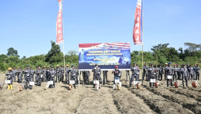 TNI AL Gelar Penanaman Bibit Kedelai di Kompi Produksi Lanal Banjarmasin Melalui Operasi Trisila 26, Perkuat Ketahanan Pangan