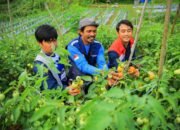 Pertamina Patra Niaga Regional Kalimantan Raih Pengakuan Global melalui Program Pemberdayaan Masyarakat dan Keberlanjutan Lingkungan
