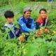 IMG 20260528 WA0035