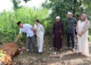 Polres HST Potong Enam Ekor Sapi Kurban
