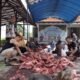 IMG 20260529 WA0026