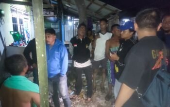 IMG 20260530 WA0031