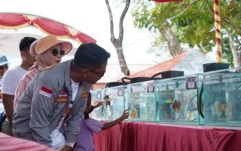 Kontes Ikan Hias Wali Kota Cup Hidupkan UMKM dan Komunitas di Banjarmasin 5 IMG 20260530 WA0043