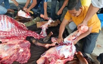 Golkar Balangan Sembelih Hewan Kurban, Pererat Silaturahmi dengan Masyarakat 4 IMG 20260531 WA0050