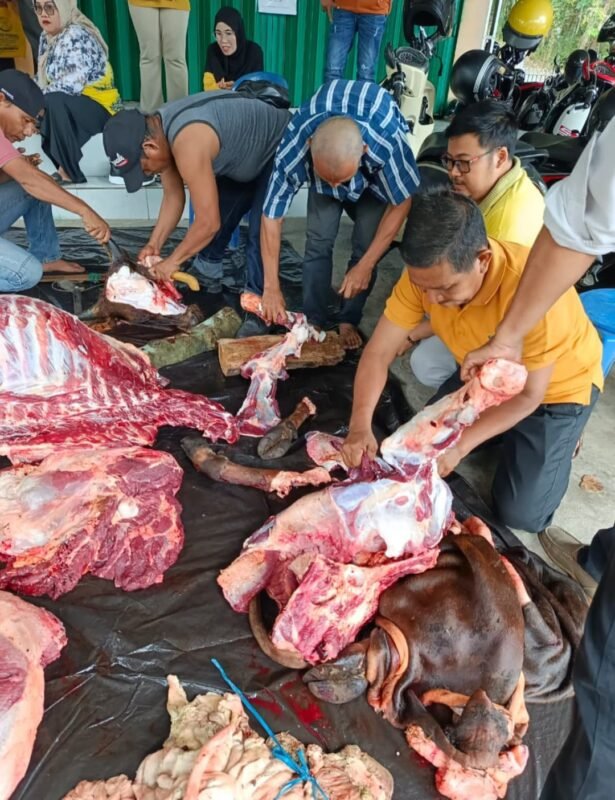 Golkar Balangan Sembelih Hewan Kurban, Pererat Silaturahmi dengan Masyarakat 1 IMG 20260531 WA0050 e1780220118202