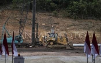 DME sebagai Modal Kedaulatan Energi di Indonesia