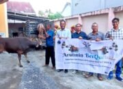 PWI Kalsel Siapkan Tiga Sapi, 300 Paket Daging Kurban akan Dibagikan untuk Anggota
