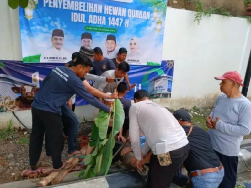 Bank Kalsel Gandeng Setwan Kalsel dan Press Room Sembelih 2 Ekor Sapi Kurban 1 IMG 20260528 184457 e1779965171884
