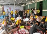Tebar Kepedulian Iduladha, YN’S Center Salurkan 18 Sapi Kurban ke Berbagai Wilayah