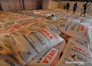 Penyaluran Puluhan Ribu Ton Pupuk Subsidi di Kalsel Diperketat