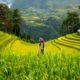 1 utama 5 klm 10 cm sawah