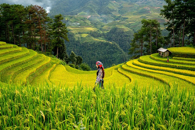 1 utama 5 klm 10 cm sawah