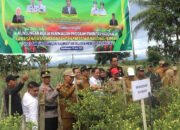 Bupati dan Wabup Dampingi Wamenko Pangan Tinjau Komunitas Cabai
