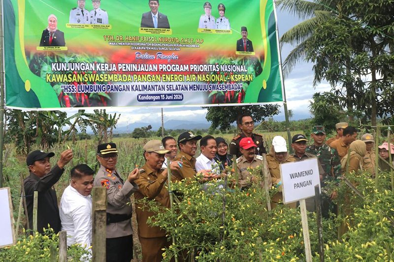 Bupati dan Wabup Dampingi Wamenko Pangan Tinjau Komunitas Cabai 1 Hal 12 HSS 1 3 klm 11