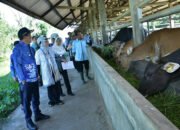 Bupati Tinjau BPPT Hariti Dorong Pembenahan  