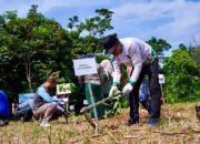 Gerakan Hijau dan Tanam Pohon untuk Bumi, 